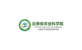 昆明網(wǎng)站建設(shè)|云南網(wǎng)站建設(shè)|昆明網(wǎng)站設(shè)計(jì)|昆明網(wǎng)站制作|云南網(wǎng)站制作|云南網(wǎng)站設(shè)計(jì)|承錦科技,昆明網(wǎng)站建設(shè),云南網(wǎng)站建設(shè),昆明網(wǎng)站設(shè)計(jì),云南網(wǎng)站設(shè)計(jì),昆明網(wǎng)站制作,云南網(wǎng)站制作,商城網(wǎng)站建設(shè),政府網(wǎng)站建設(shè),集團(tuán)網(wǎng)站建設(shè),電商平臺(tái)建設(shè),高端網(wǎng)站建設(shè),微網(wǎng)站建設(shè)
